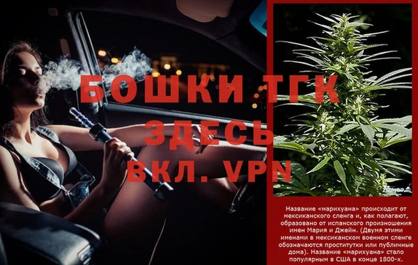 ALPHA PVP Коряжма