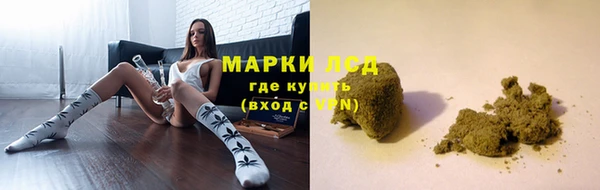 стаф Козловка