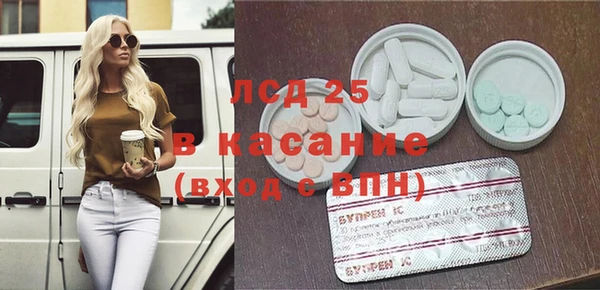 стаф Козловка