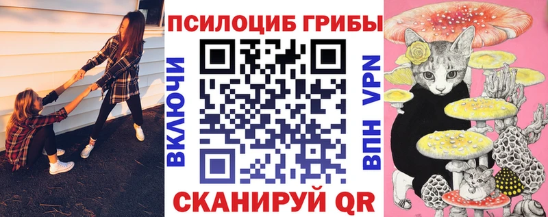 Псилоцибиновые грибы MAGIC MUSHROOMS  купить наркотики цена  Ладушкин 