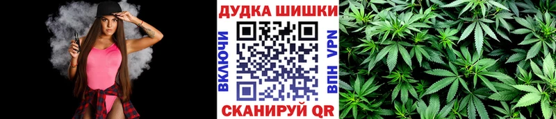 Конопля планчик  купить наркотик  OMG зеркало  Ладушкин 